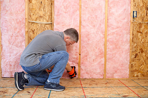 Best Commercial Insulation Services  in Yalaha, FL